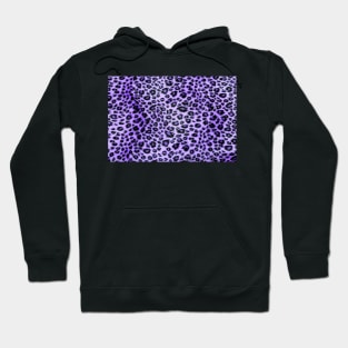 Purple Leopard Print Hoodie